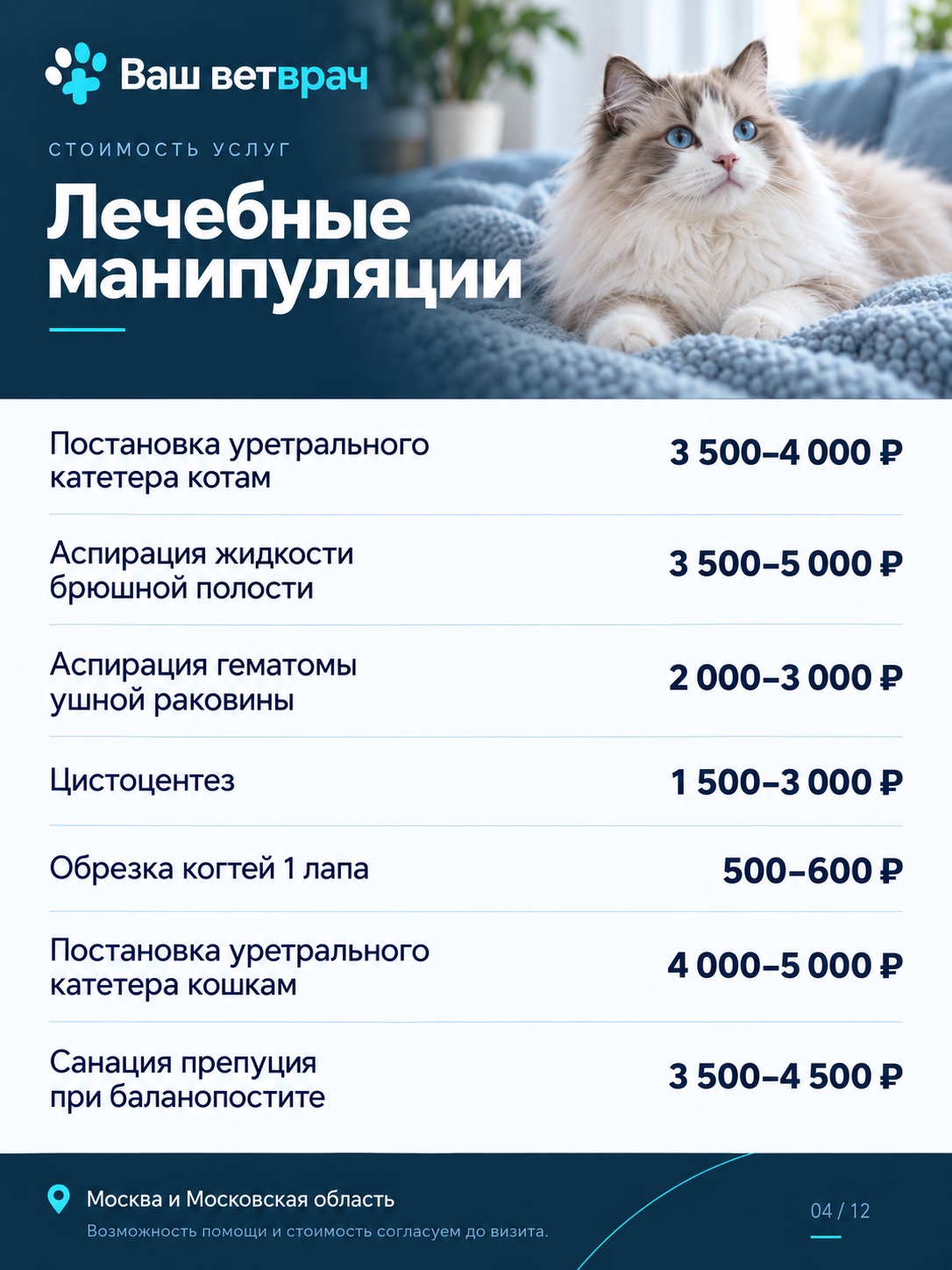 Услуги и цены: Лечебные манипуляции. Текстовый список доступен под изображением.