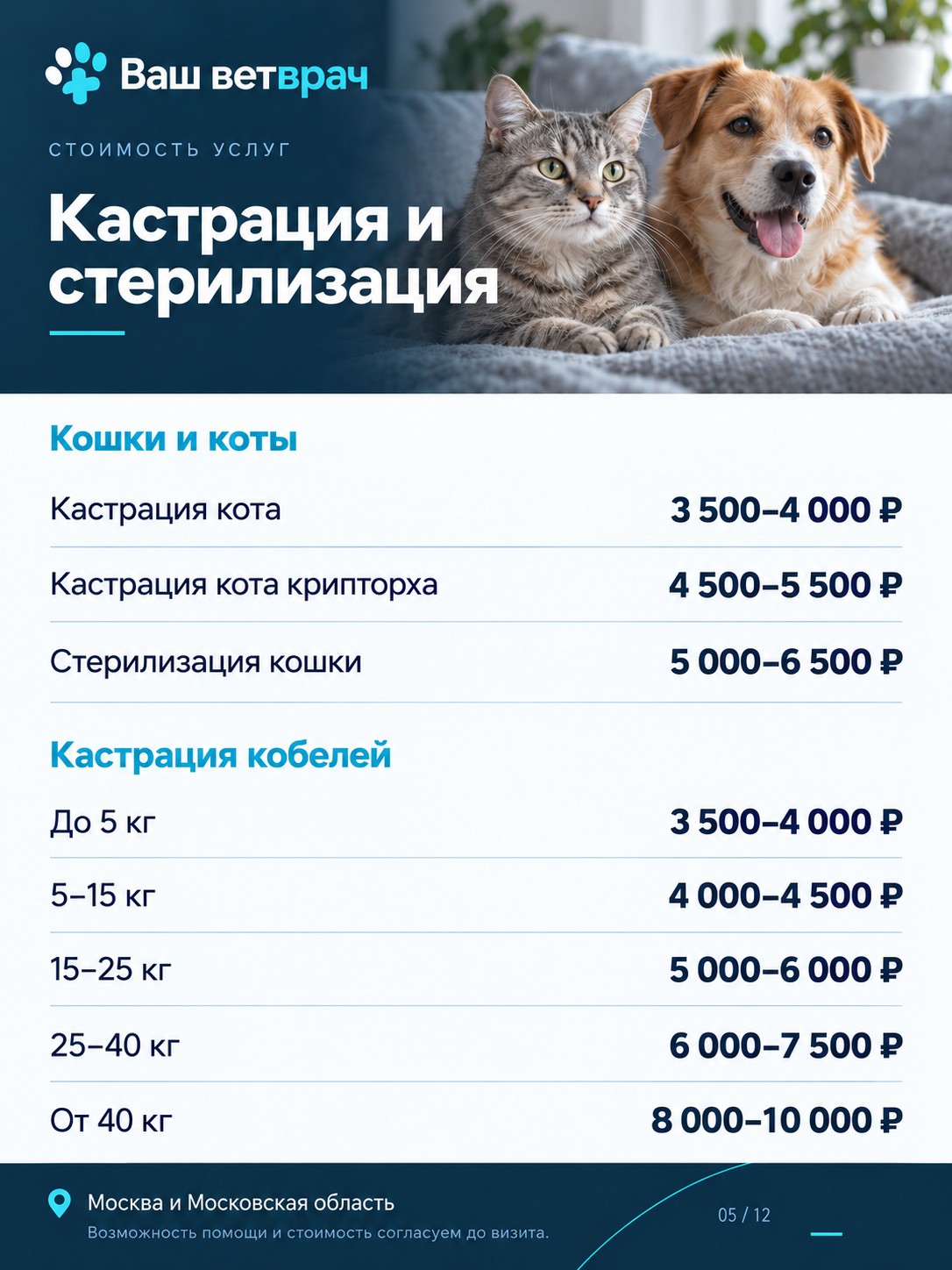 Услуги и цены: Кастрация и стерилизация. Текстовый список доступен под изображением.