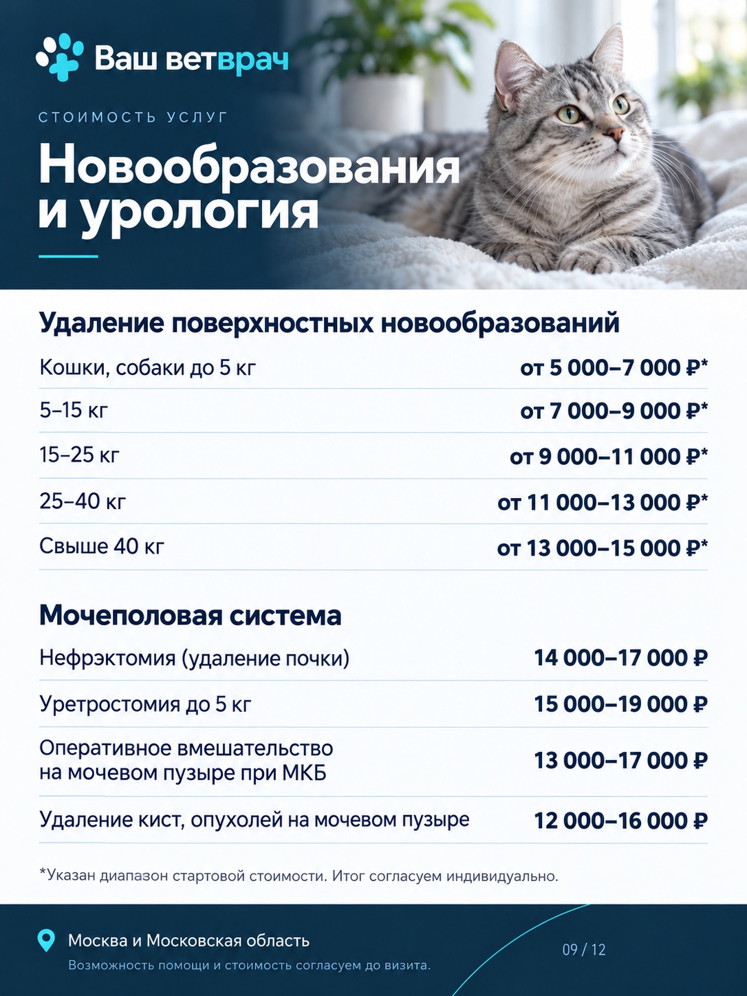 Услуги и цены: Новообразования и урология. Текстовый список доступен под изображением.