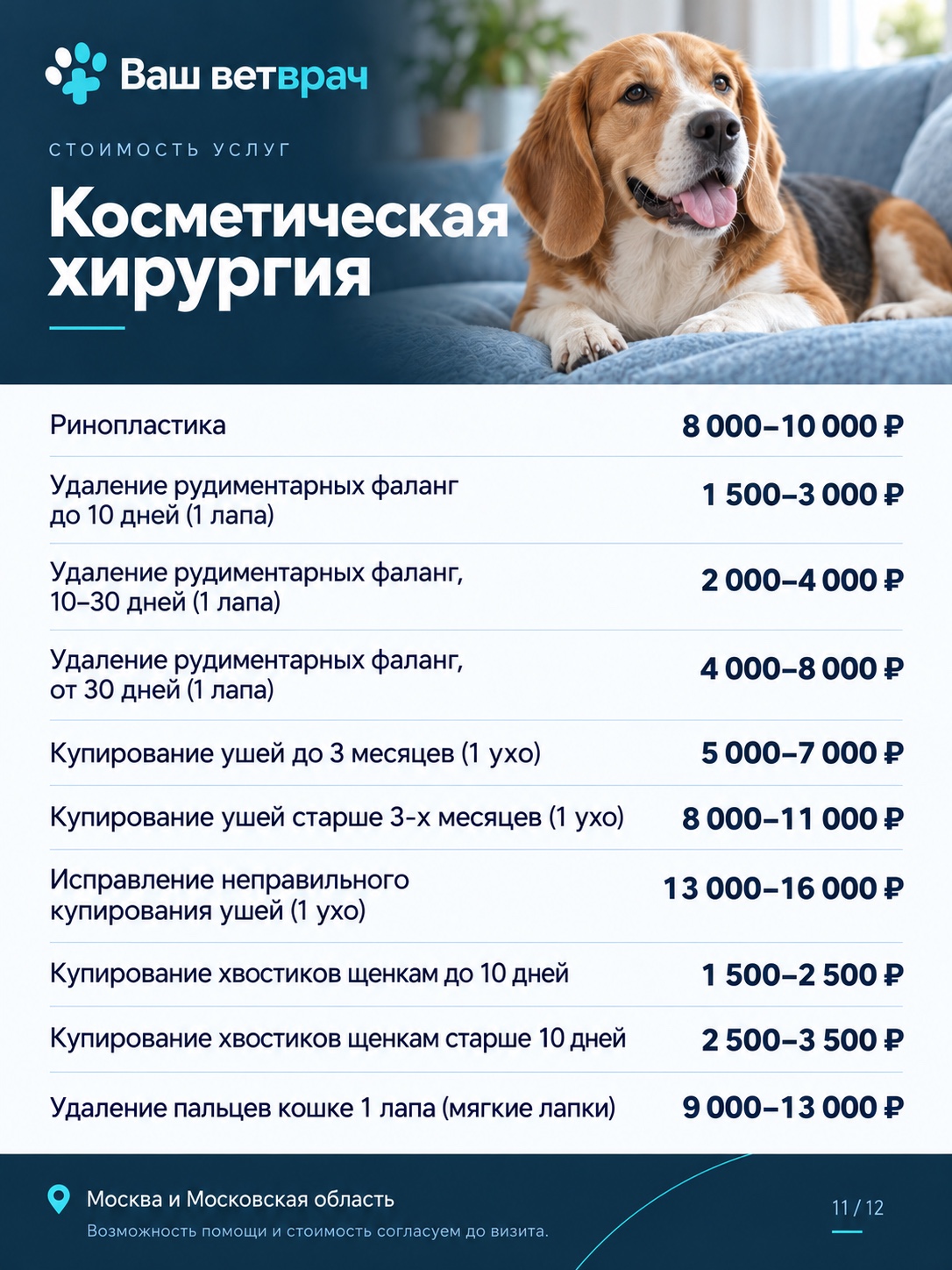 Услуги и цены: Косметическая хирургия. Текстовый список доступен под изображением.