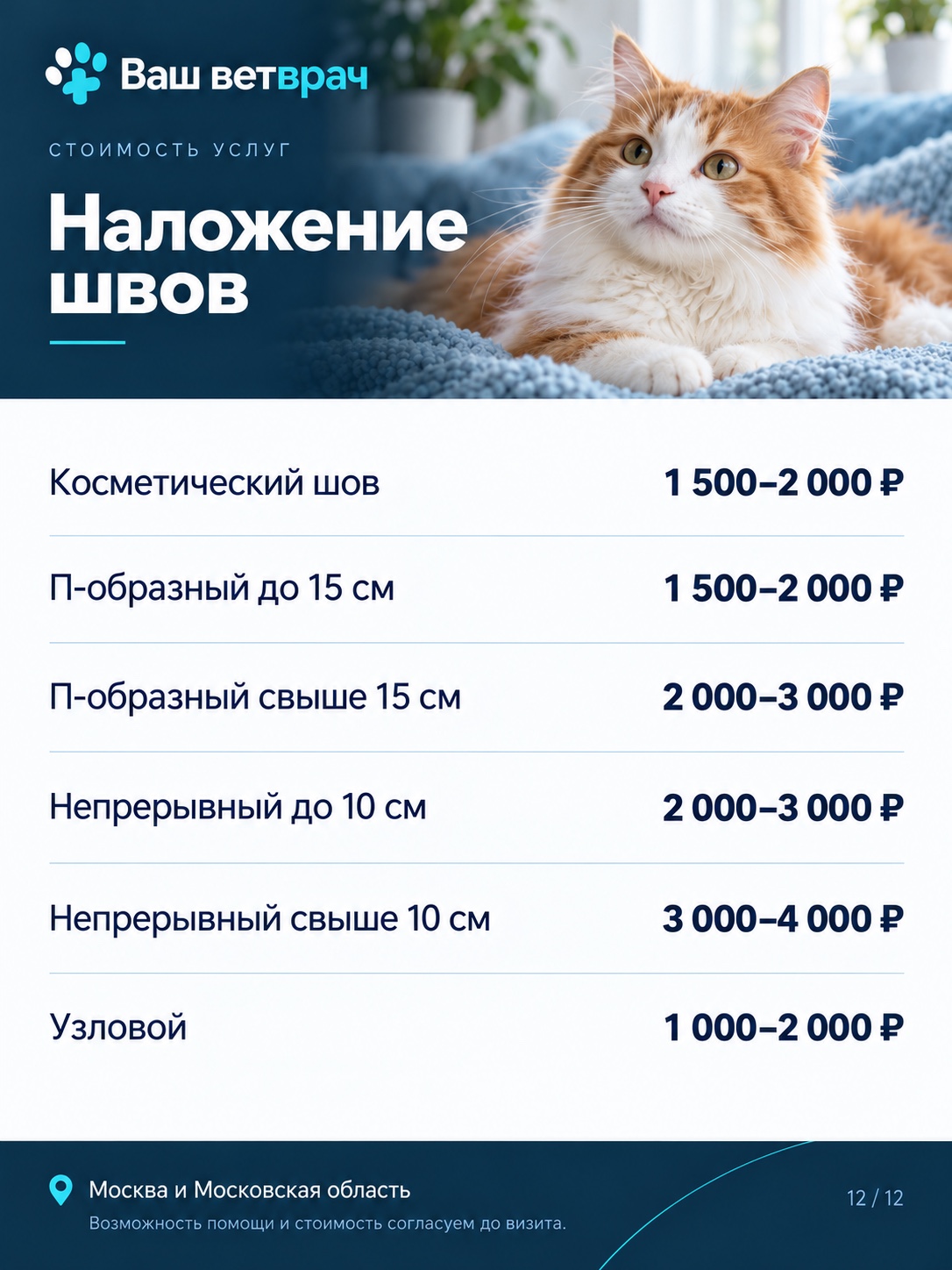 Услуги и цены: Наложение швов. Текстовый список доступен под изображением.